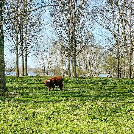 Geweldig Schip In Met Keuken Lith