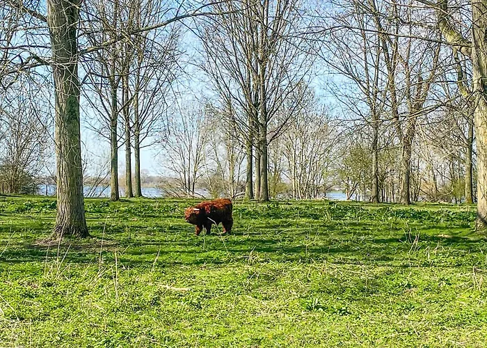 Awesome Ship In With Kitchen Lith